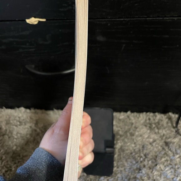 Kid’s G.I. Dogs Hero Pup Of World War I Chapter Book Sgt. Stubby Paperback - Picture 3 of 9